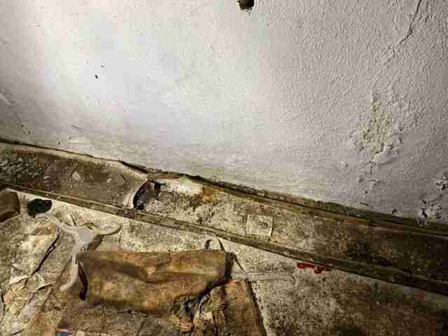 Testing again(49).jpg